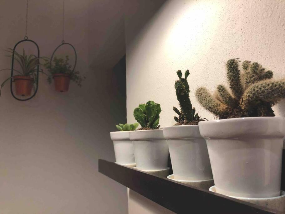 Apartaestudio#8 Aire Acondicionado Laborcillas Ngoại thất bức ảnh