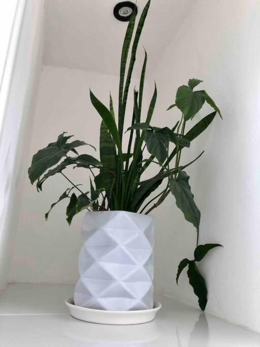 Apartaestudio#8 Aire Acondicionado Laborcillas Ngoại thất bức ảnh
