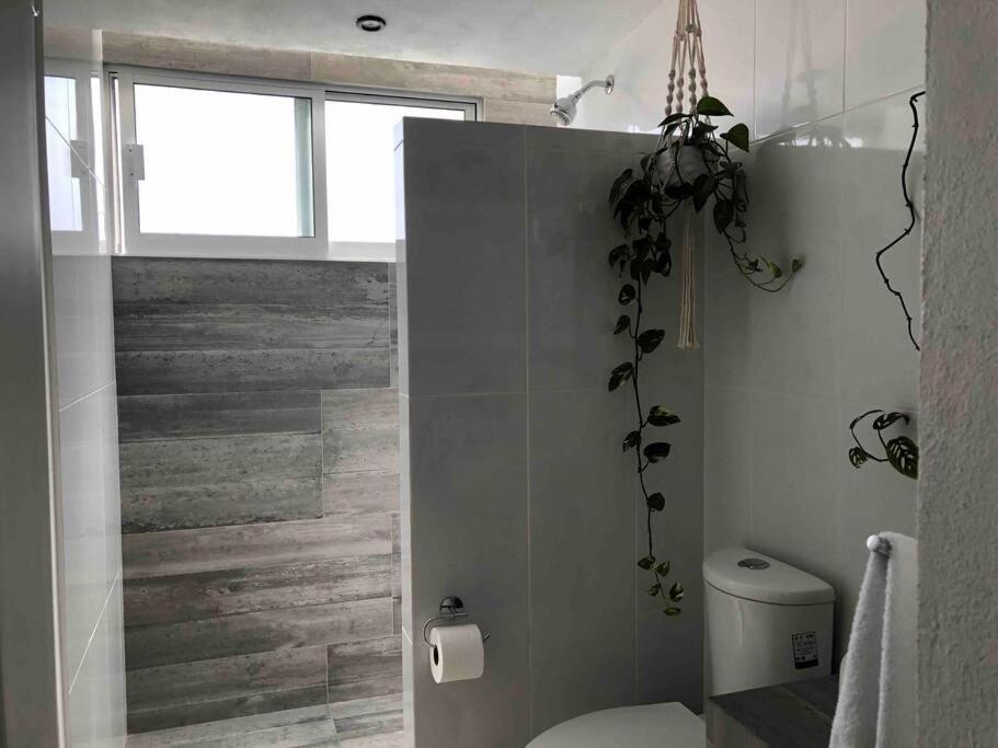 Apartaestudio#8 Aire Acondicionado Laborcillas Ngoại thất bức ảnh