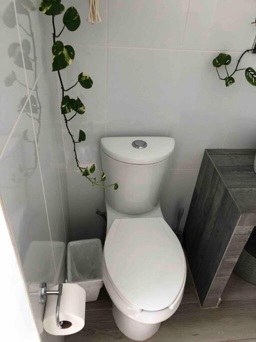 Apartaestudio#8 Aire Acondicionado Laborcillas Ngoại thất bức ảnh